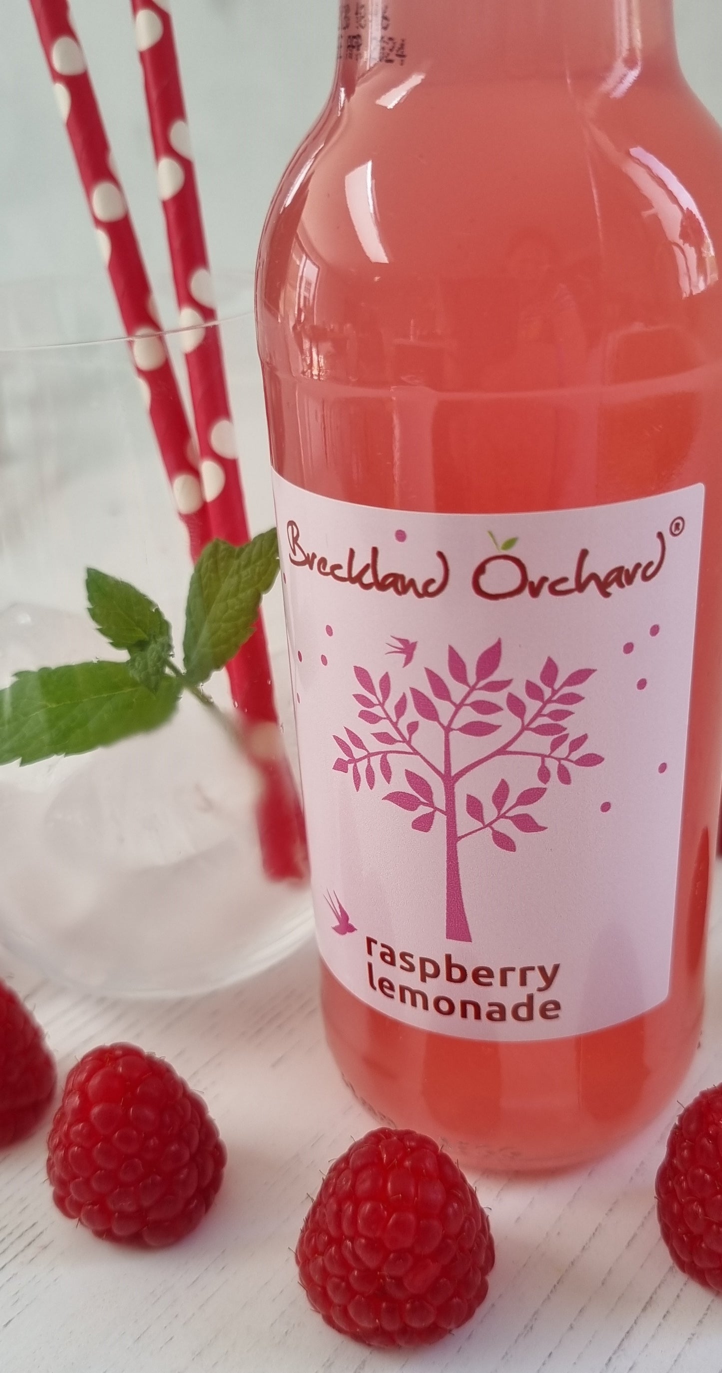 ZERO Sugar Raspberry Lemonade Posh Pop 12 x 275ml