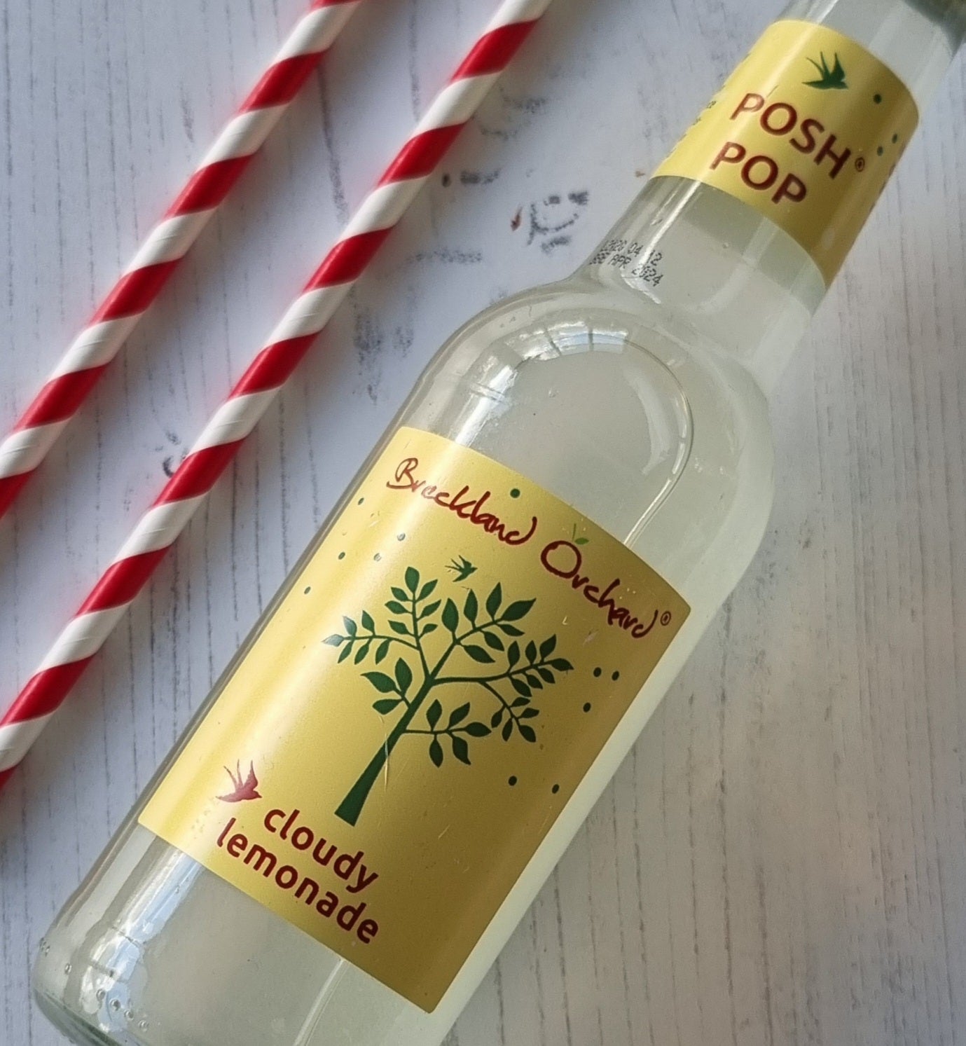 Cloudy Lemonade Posh Pop by Breckland Orchard 12 x 275ml