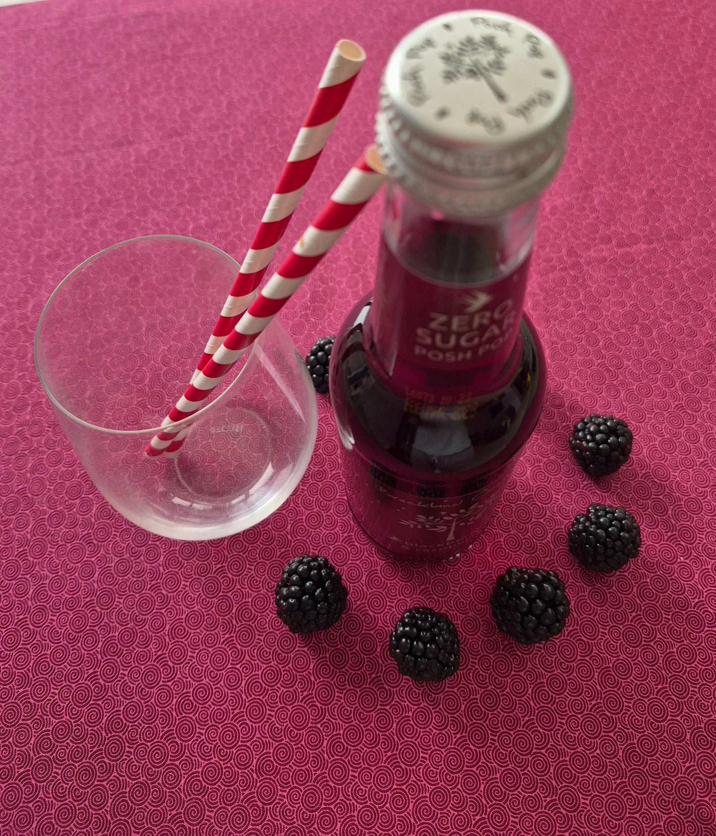 Zero Sugar Blackberry and Raspberry Posh Pop 12 x 275ml