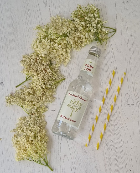 Elderflower Posh Pop 12 x 275ml by Breckland Orchard