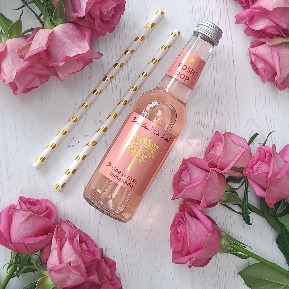 Sloe and Rose Posh Pop 12 x 275ml by Breckland Orchard