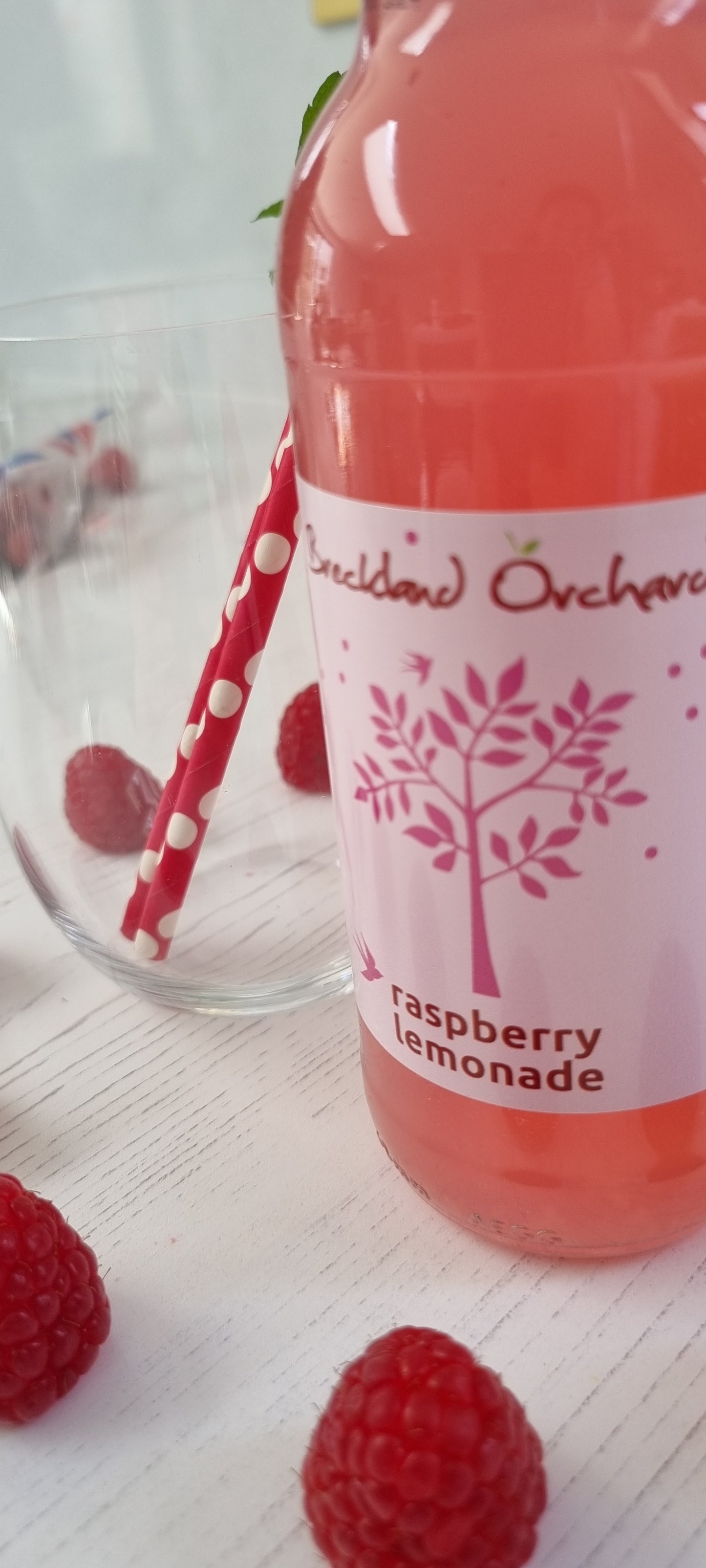ZERO Sugar Raspberry Lemonade Posh Pop 12 x 275ml
