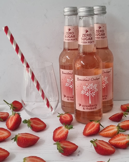 ZERO Sugar Strawberry & Rhubarb Posh Pop 12 x 275ml