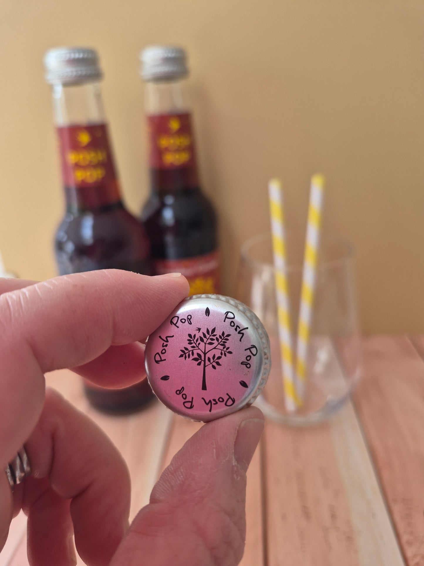 Dandelion and Burdock  Posh Pop 12 x 275ml