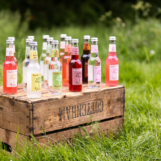 Mixed Case of Posh Pop