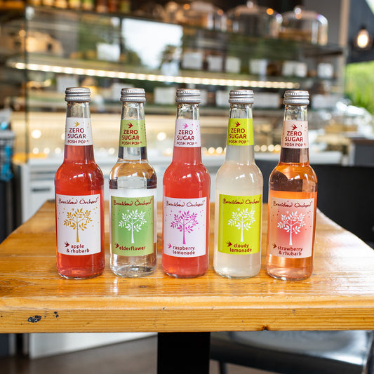 Zero Sugar Posh Pop Mixed Selection