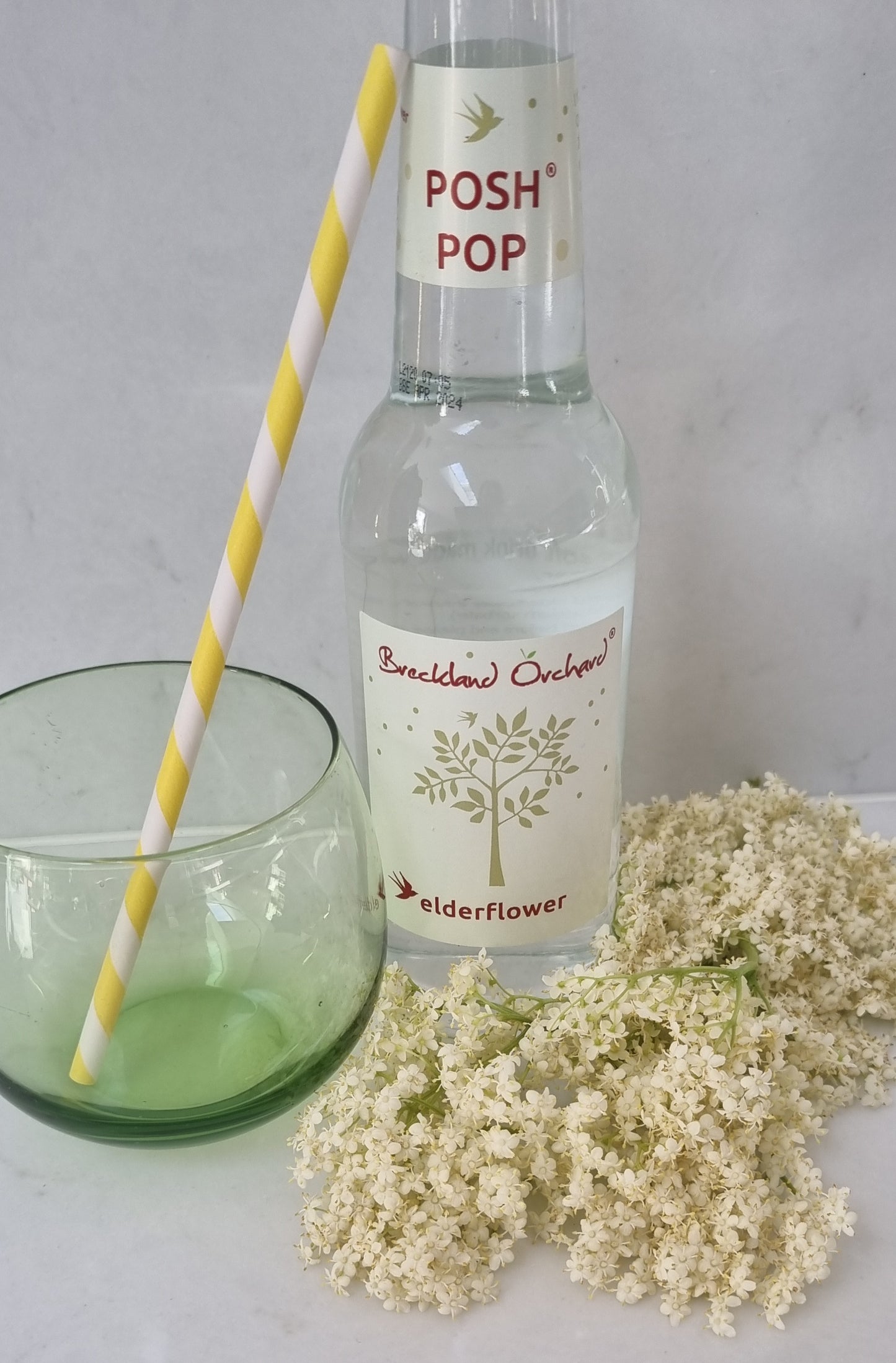 Elderflower Posh Pop 12 x 275ml by Breckland Orchard