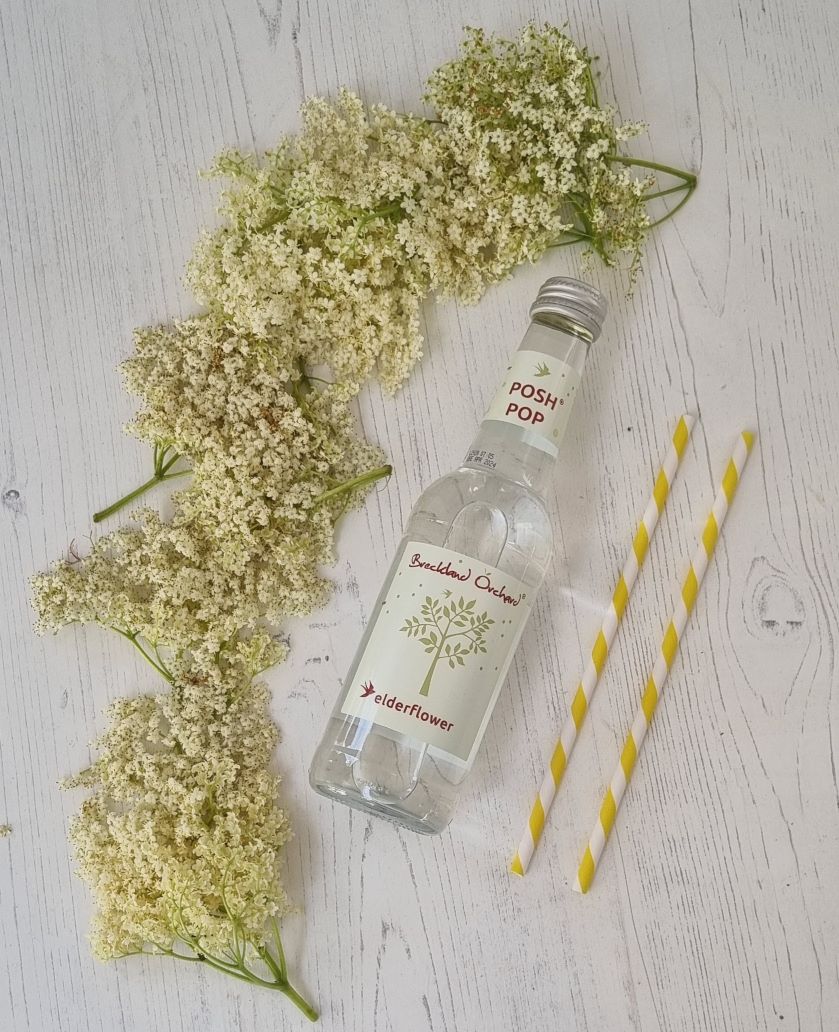 Elderflower Posh Pop 12 x 275ml by Breckland Orchard